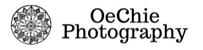 龍神などのスピリチュアルアート作品、贈り物としてのフォト書なら。草津市が拠点の『おおえちえphotography（フォトグラフィー）』へ。個展も行っております。